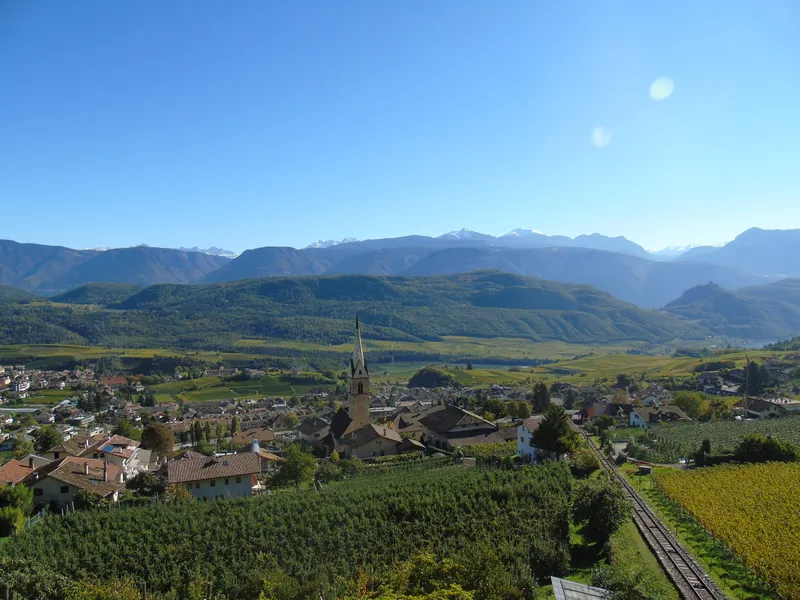 Vineyards and Mendel