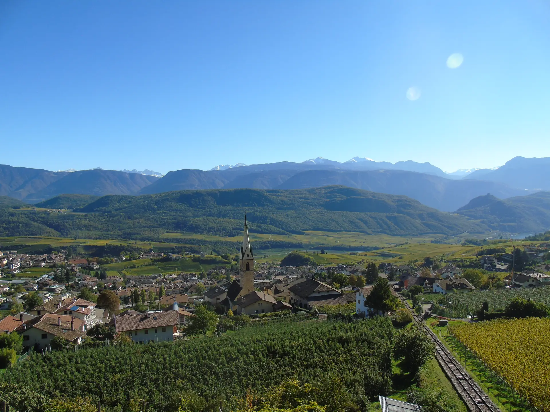 Vineyards and Mendel